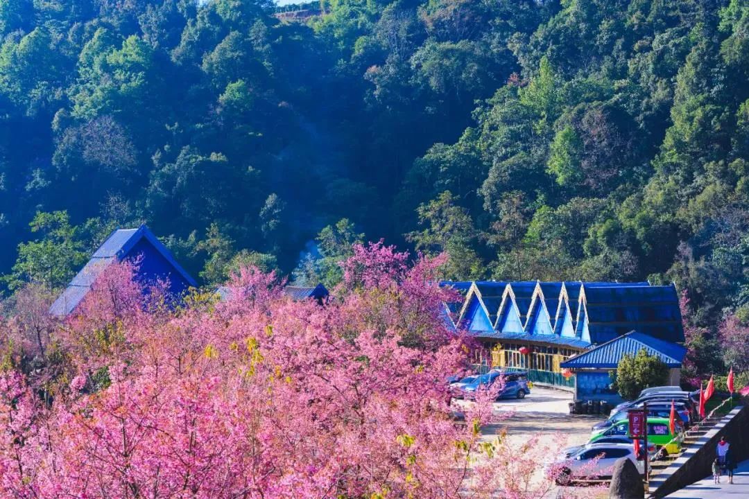 騰沖旅游 騰沖旅游