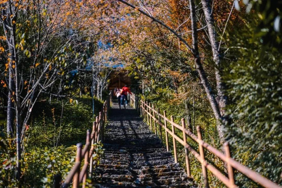 騰沖旅游 騰沖旅游
