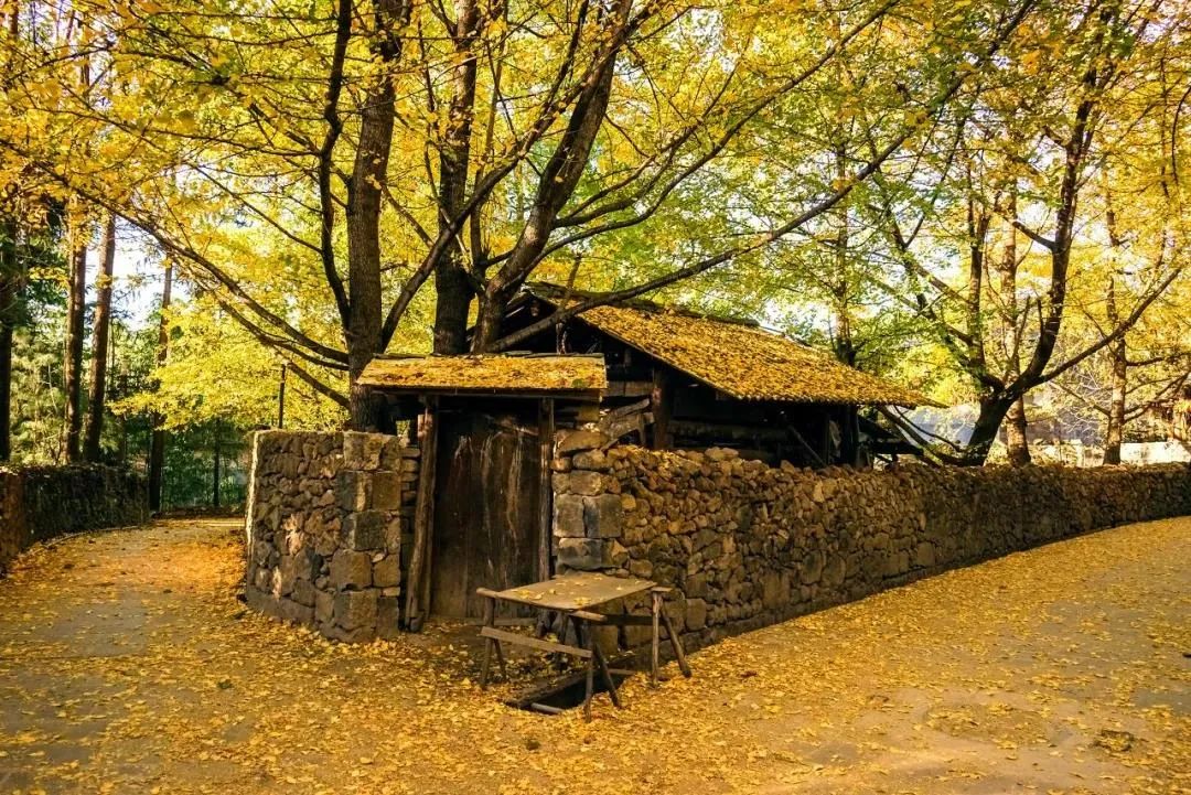 騰沖旅游 騰沖旅游