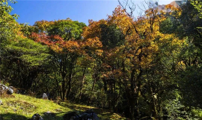 騰沖旅游 騰沖旅游