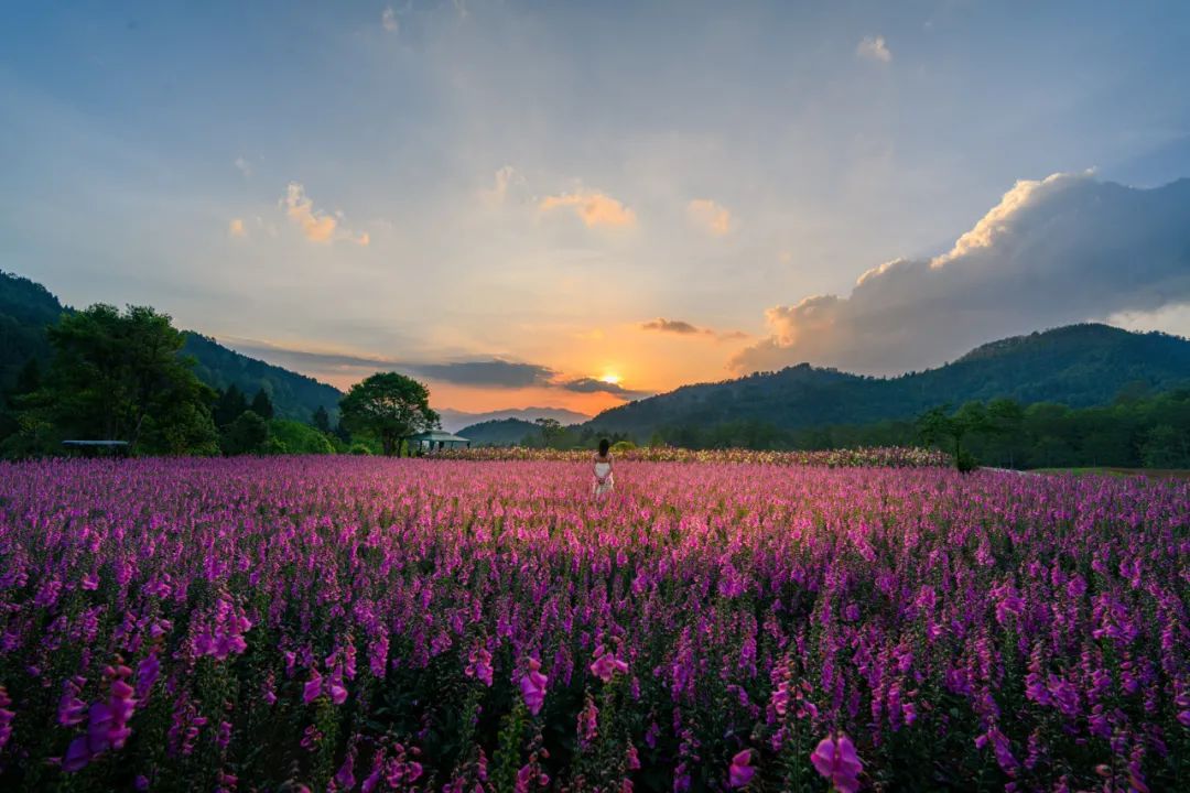 夢幻騰沖 夢幻騰沖