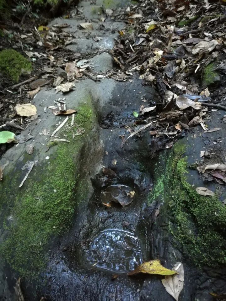 古遺址 古遺址