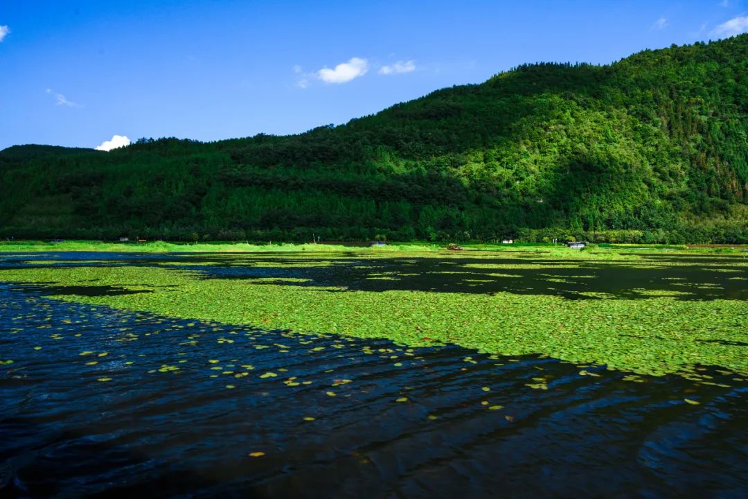 綠水青山 綠水青山